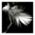 ermina's picture ermina's picture